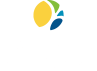 Dominion National logo