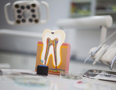 Model of the inside of a tooth